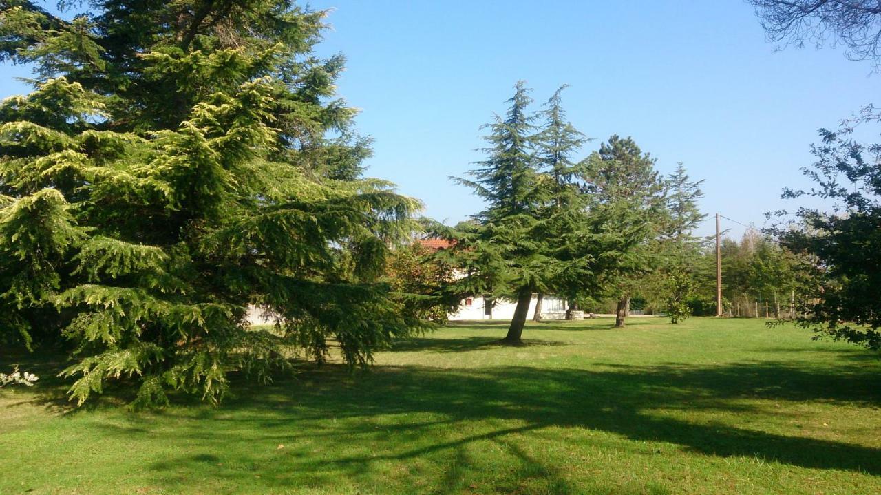 Le Pontet Bed and Breakfast Miramont-de-Guyenne Exteriör bild